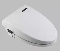 The Injection Molding Process for a Toilet Cover