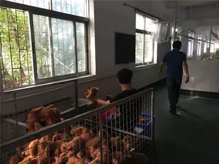 Products Checking
