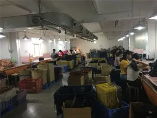 QC Team