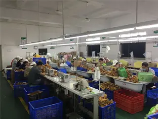 Stitching Line