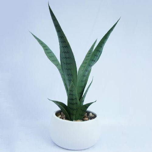 Silk Succulent Snake Plant in White Planter