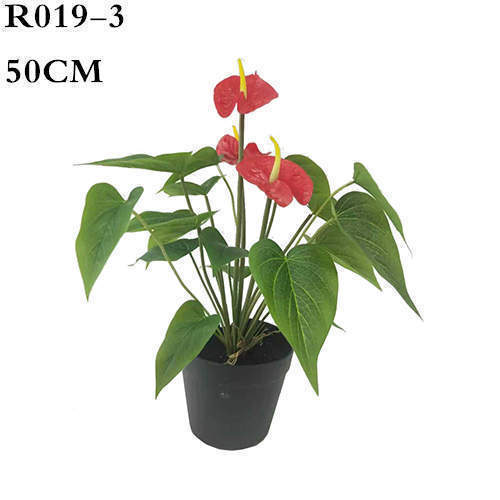 Artificial Tailflower, 50CM