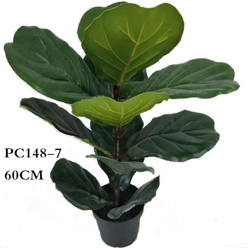 Artificial Ficus lyrata, 60CM, 70CM, 90CM，120CM，150CM