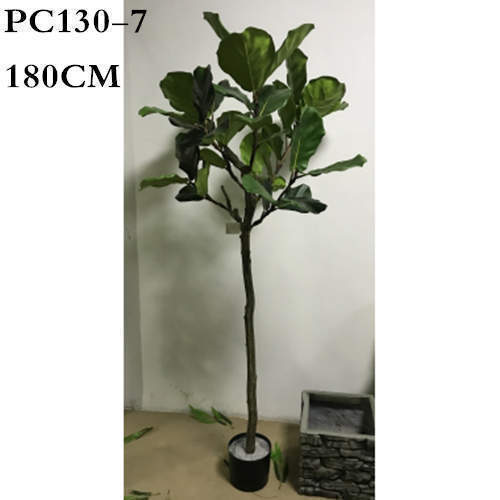 Artificial Ficus lyrata Tree, 150CM, 180CM