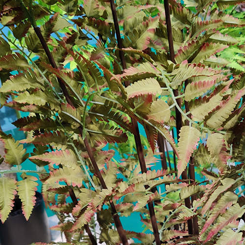 2020 Newest Artificial Pedicularis Filicifolia