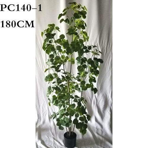 Artificial Polyscias Balfouriana Bailey, Balfour Aralia, 180CM, 210CM