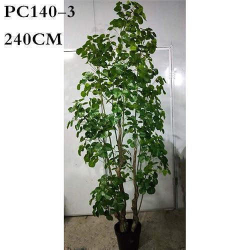 Artificial Polyscias Balfouriana Bailey, Dinner Plate Aralia, 240CM, 150CM
