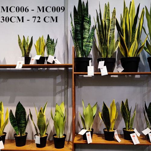 2020 Newest Artificial Snake Plant, 30 CM - 72 CM, Potted