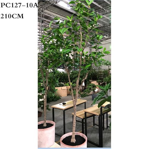 Artificial Sweet Osmanthus Plant, 210CM