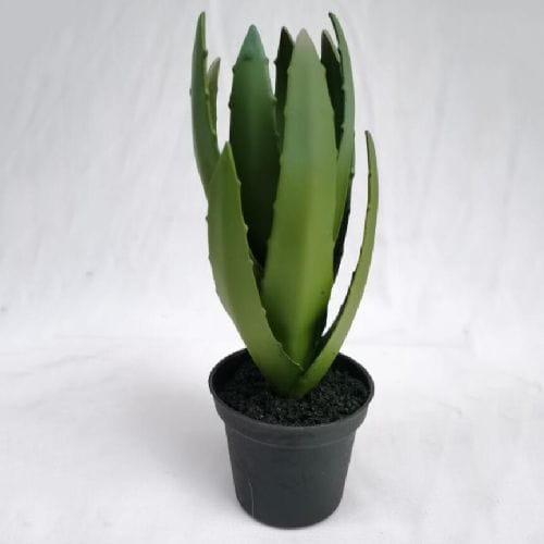 Faux Tabletop Succulents