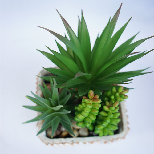 Artificial Assorted Aloe Succulents Plants, 20 CM