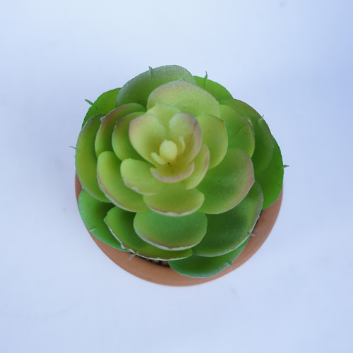 Faux Potted Plastic Succulent Plant , 9 CM