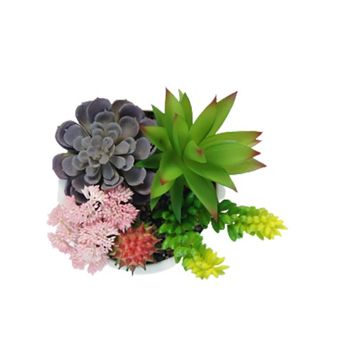 Artificial New Design Succulents, 23 CM - Sharetrade