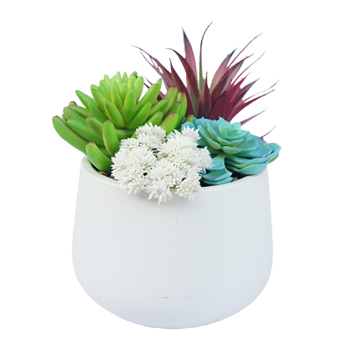 Faux Hot Selling Succulents, 18 CM