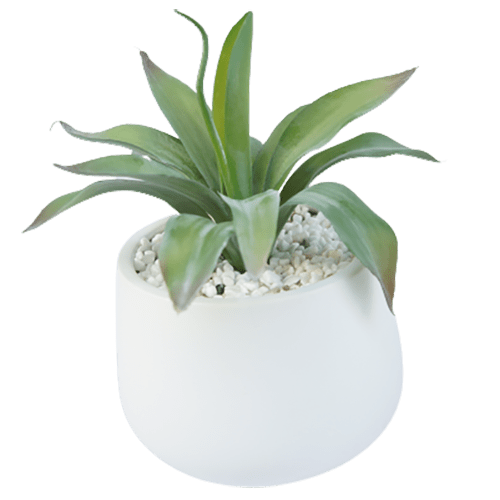 Artificial Best Selling Succulents, 25 CM