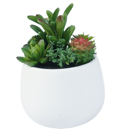 Artificial New Design Succulents, 15 CM