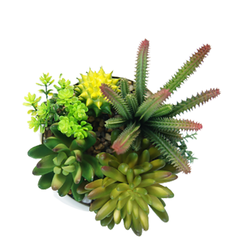 Artificial Best Selling Succulents, 22 CM