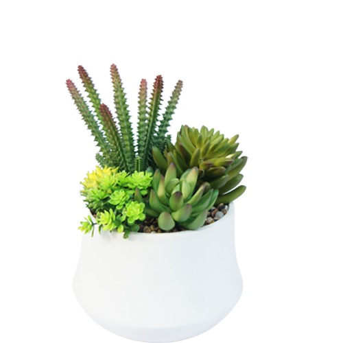 Artificial Best Selling Succulents, 22 CM