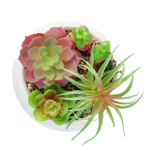 Fake Best Selling Succulents, 15 CM