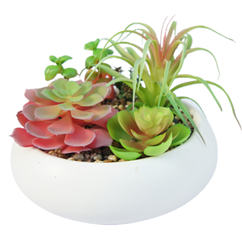 Fake Best Selling Succulents, 15 CM