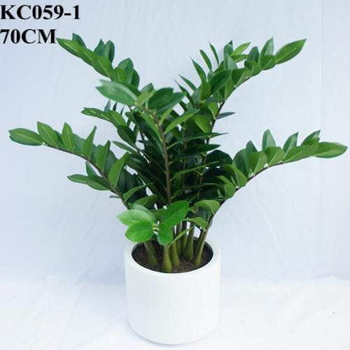 Artificial Zamioculcas Plant, 70 CM