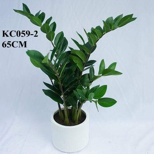 Artificial ZZ Plant, 65 CM