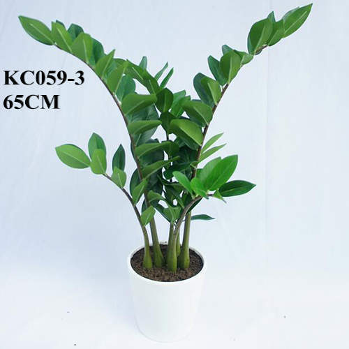 Artificial ZZ Plant, 65 CM