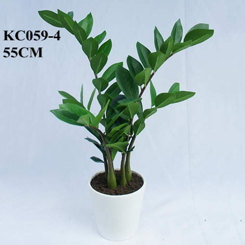 Artificial ZZ Plant, 55 CM