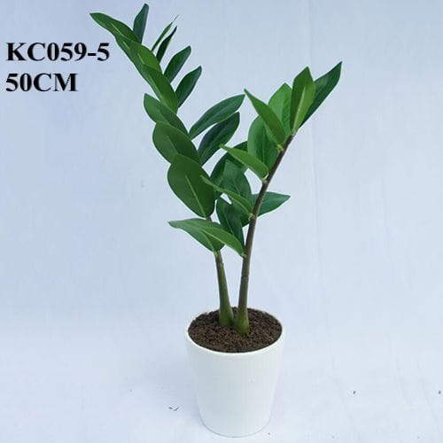 Artificial ZZ Plant, 50 CM