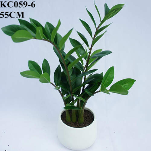 Artificial ZZ Plant, 55 CM