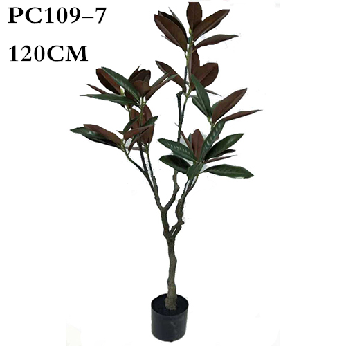 Plastic Magnolia Trees, Unique Design