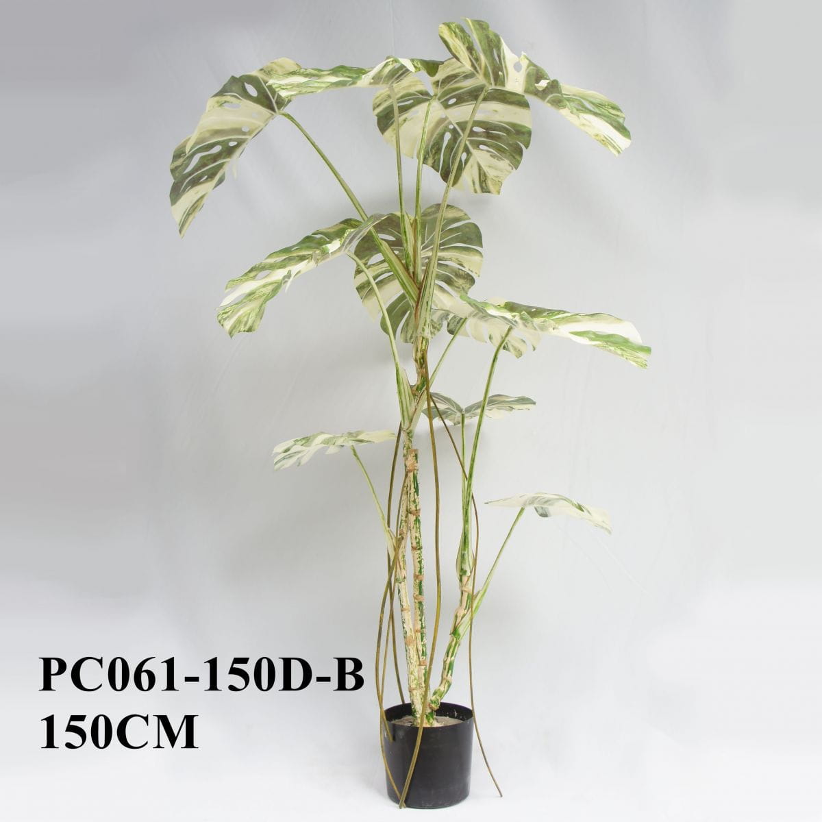 Artificial Monstera Albo Variegata Tree 150CM