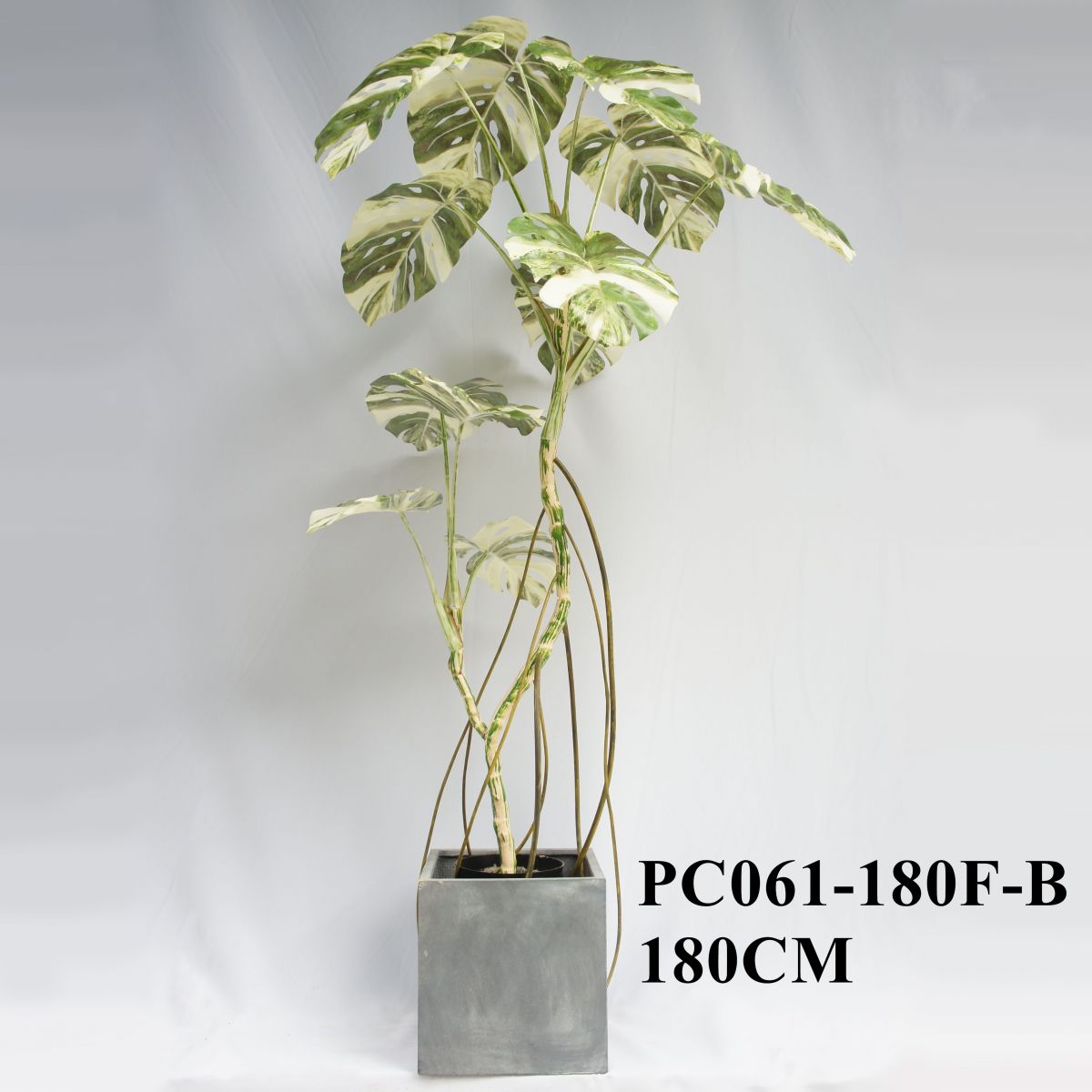 Artificial Monstera Deliciosa Variegata 180CM