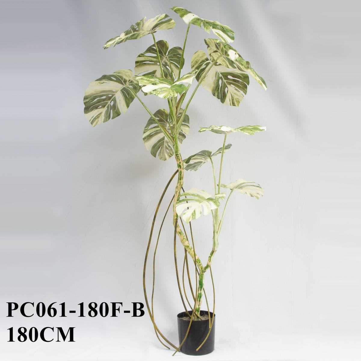 Artificial Monstera Deliciosa Variegata 180CM