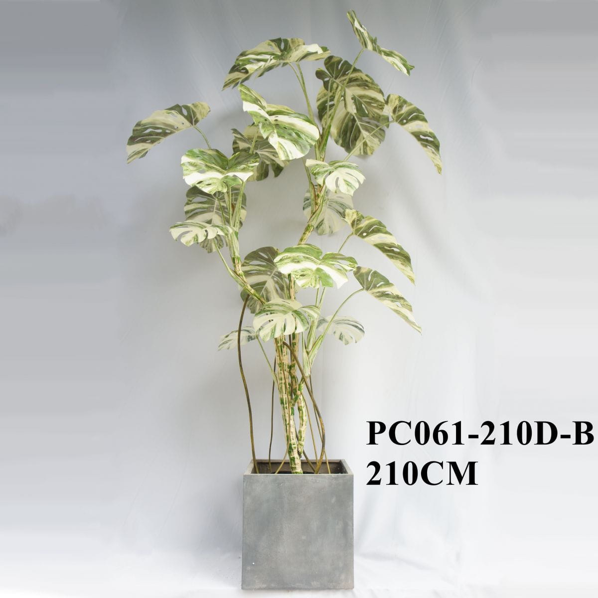 Artificial Monstera Deliciosa Albo Variegata 210CM