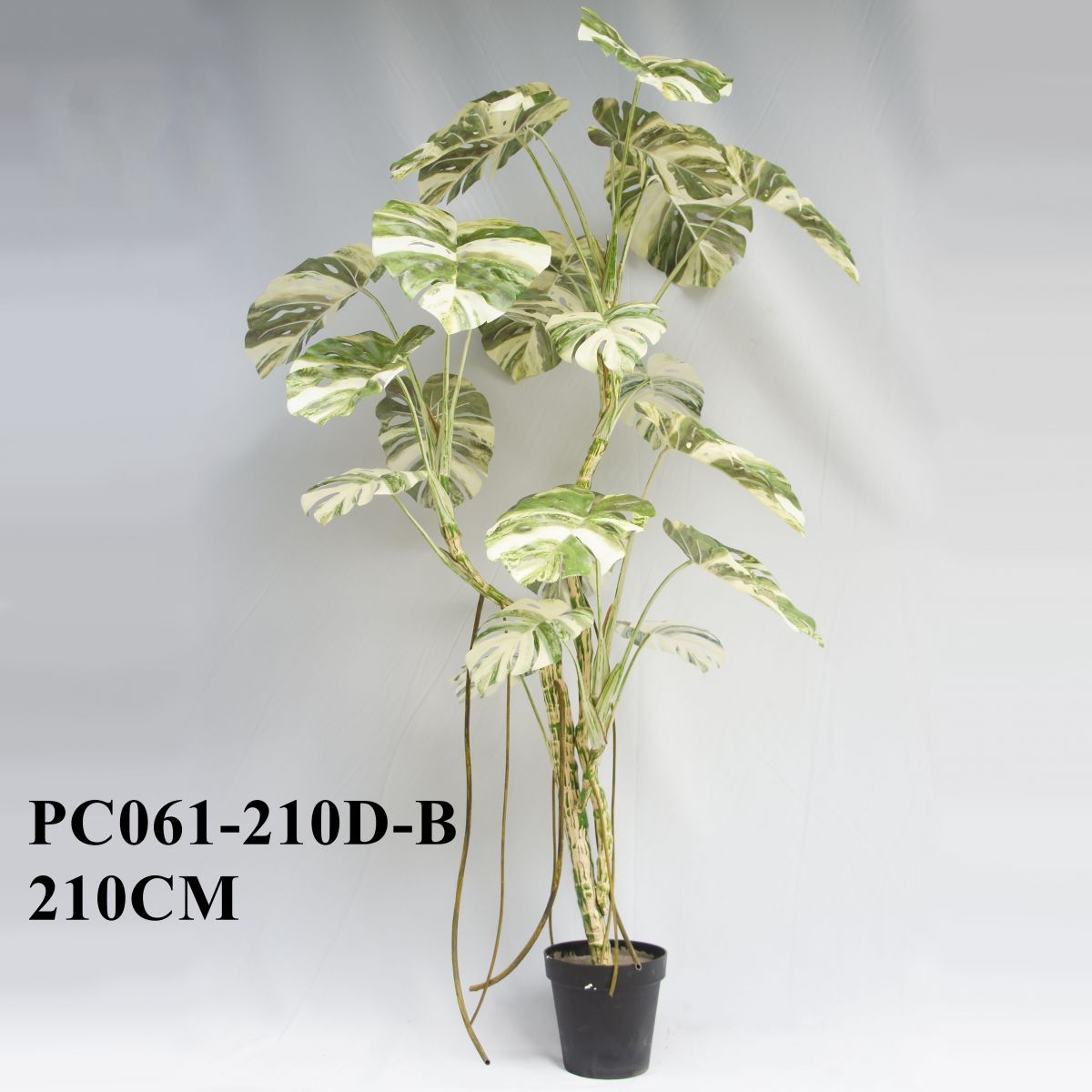 Artificial Monstera Deliciosa Albo Variegata 210CM