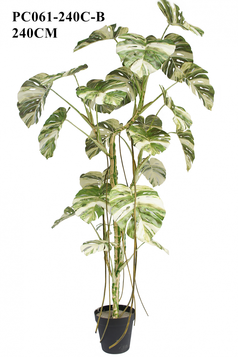 Artificial Tall Monstera Albo Variegata 240CM