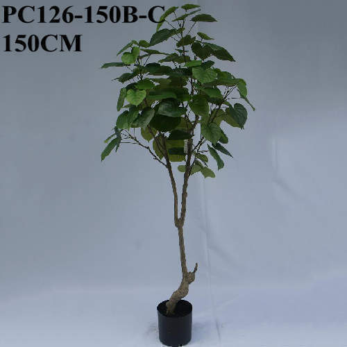 Artificial Ficus Umbellata, 150 CM