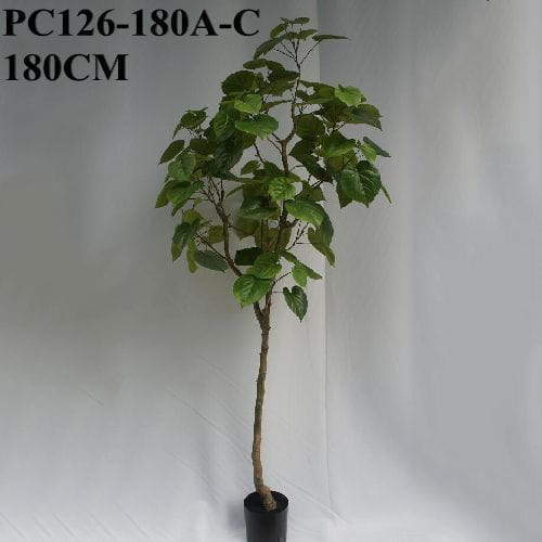 Artificial Fig Trees Ficus Umbellata, 180 CM