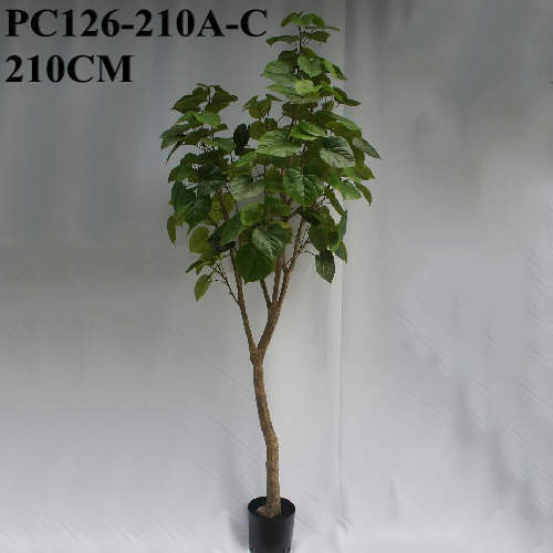 Artificial Heart-shaped Leaves Ficus Umbellata, 210 CM