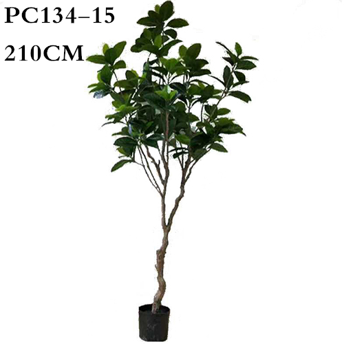 Artificial Curtain Fig, 120CM, 150CM, 180CM, 210CM, 270CM
