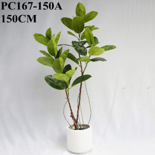 Artificial Rubber Plant 2 Twigs, 150 CM