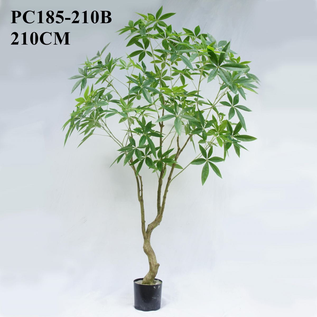 Artificial Large Green Pachira Macrocarpa, 210CM