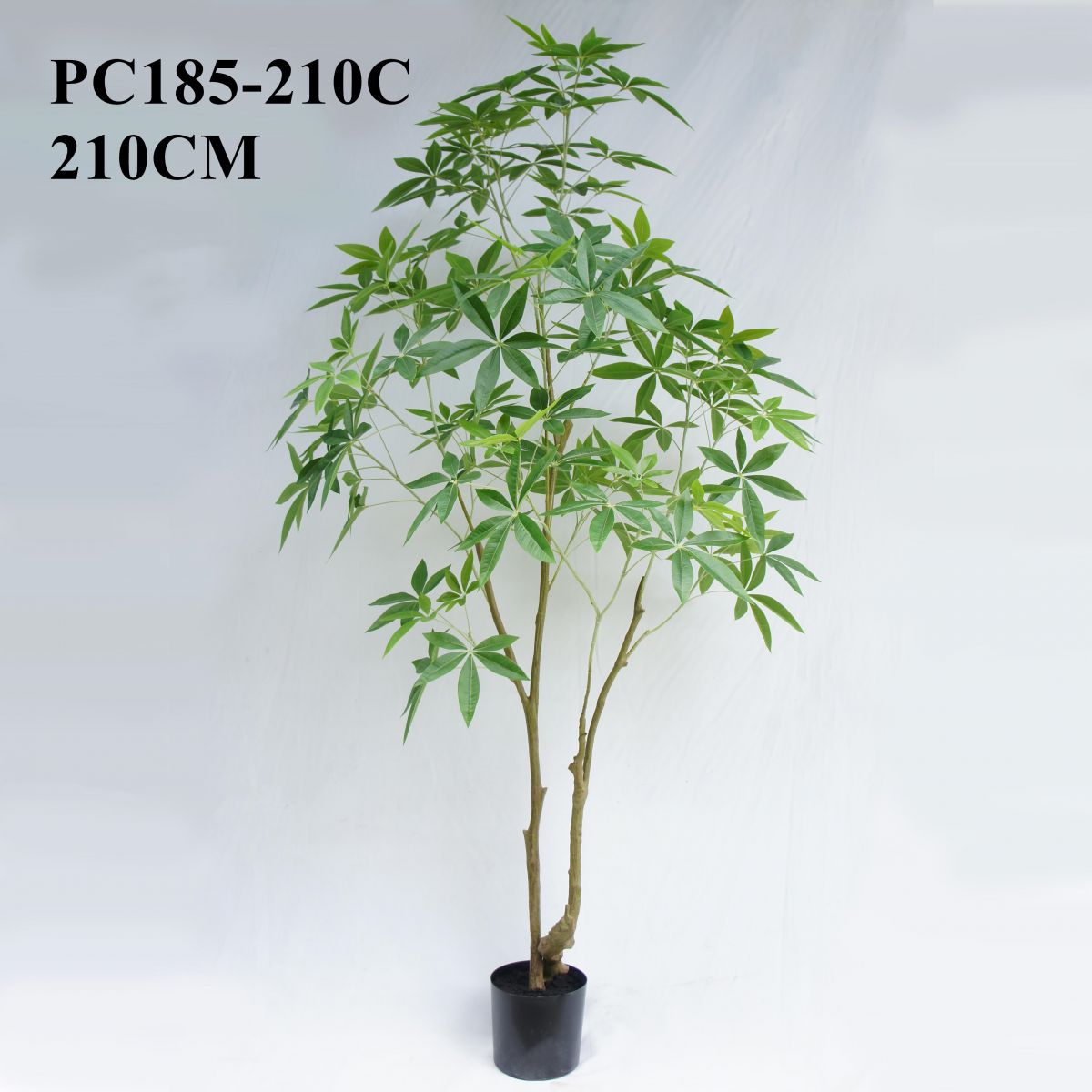 Artificial Large Pachira Aquatica in Black Pot 210CM