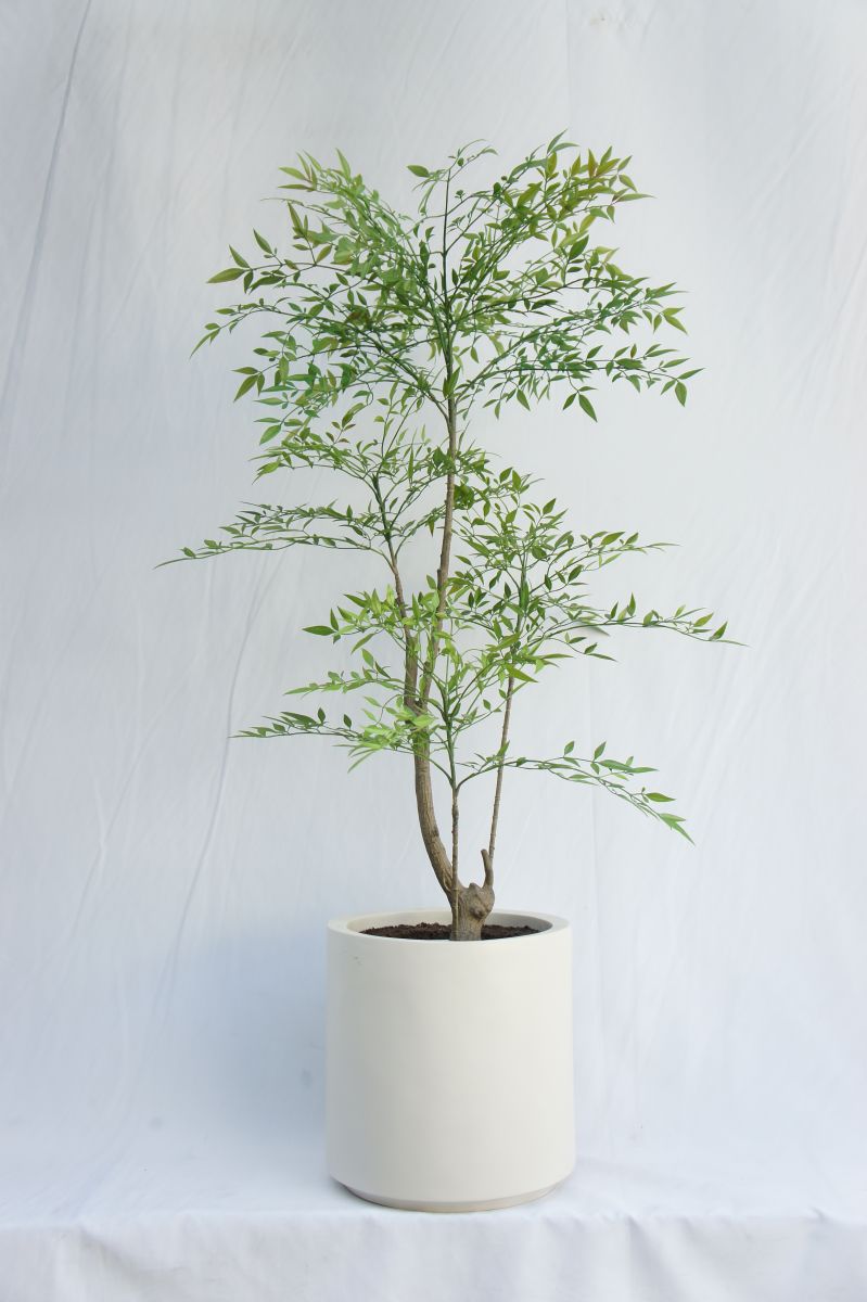 Artificial Nandina Domestica, 120 CM