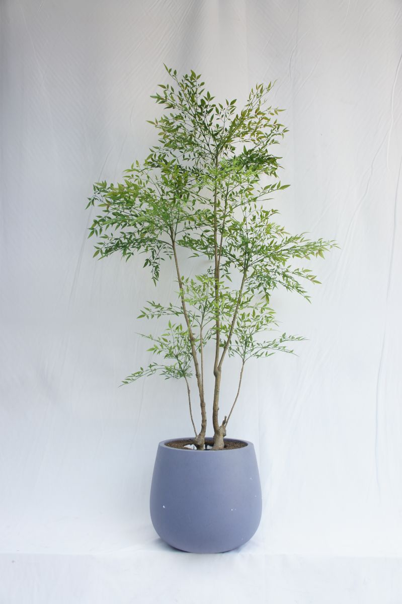 Artificial Heavenly Bamboo, 180CM