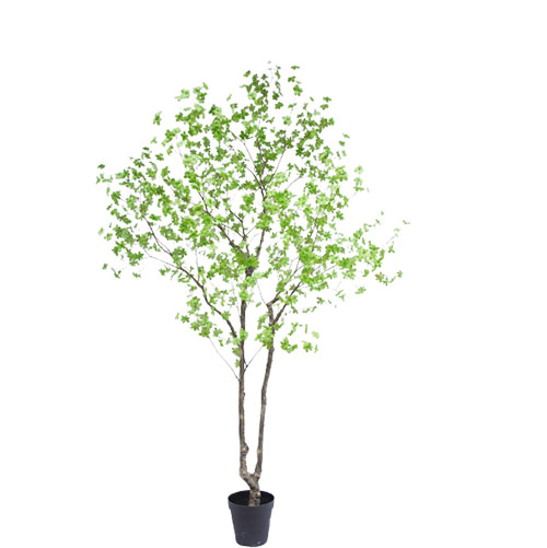 Artificial Enkianthus Perulatus, 300 CM
