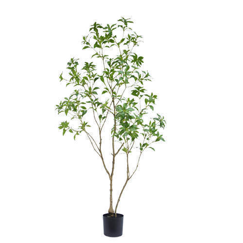 Special Artificial Pieris Japonica Tree, 180 CM