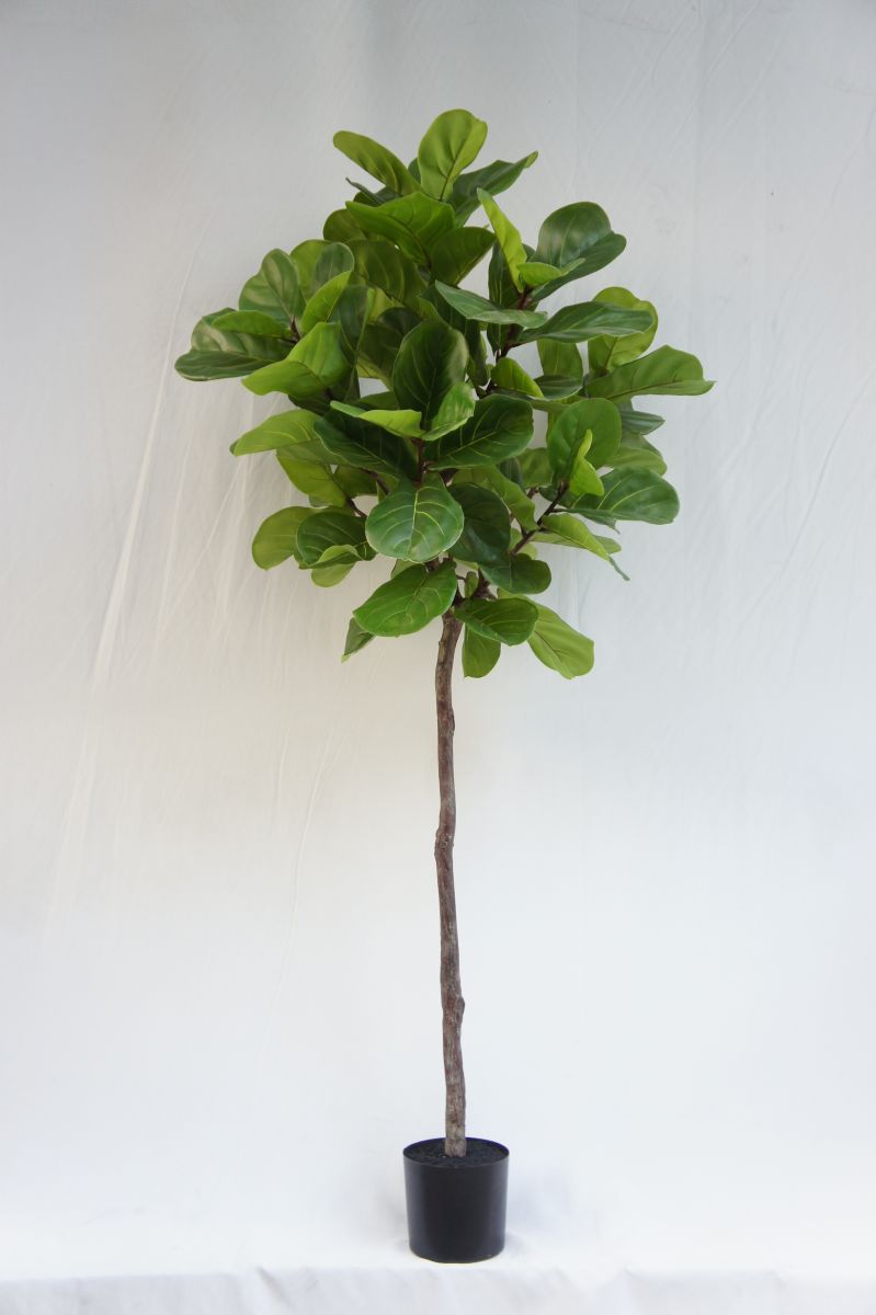 Faux Huge Ficus Lyrata Tree, 210 CM