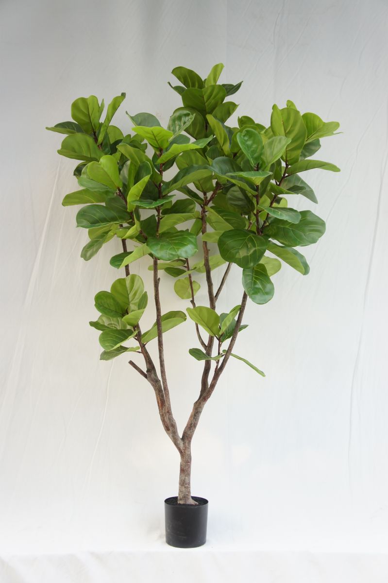 Faux Large Ficus Lyrata Tree, 210CM